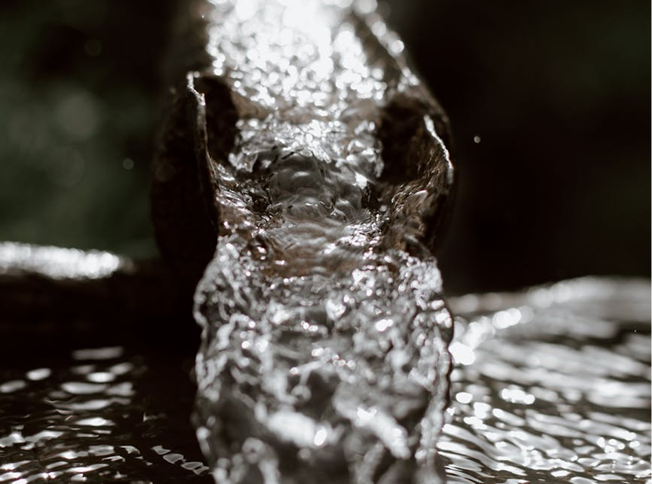 Drain scoping service